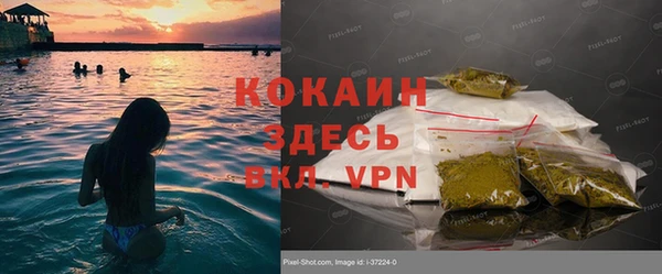 дмт Козельск