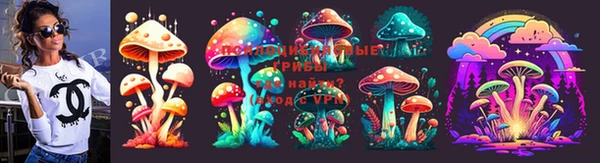 амф Кодинск