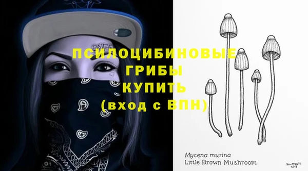 мескалин Козловка