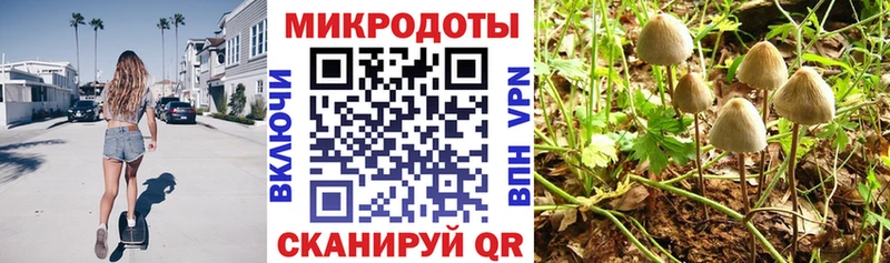 Галлюциногенные грибы Cubensis  Купить  Ливны 